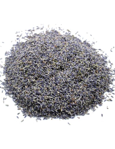 Fleurs de lavande (1 KG)
